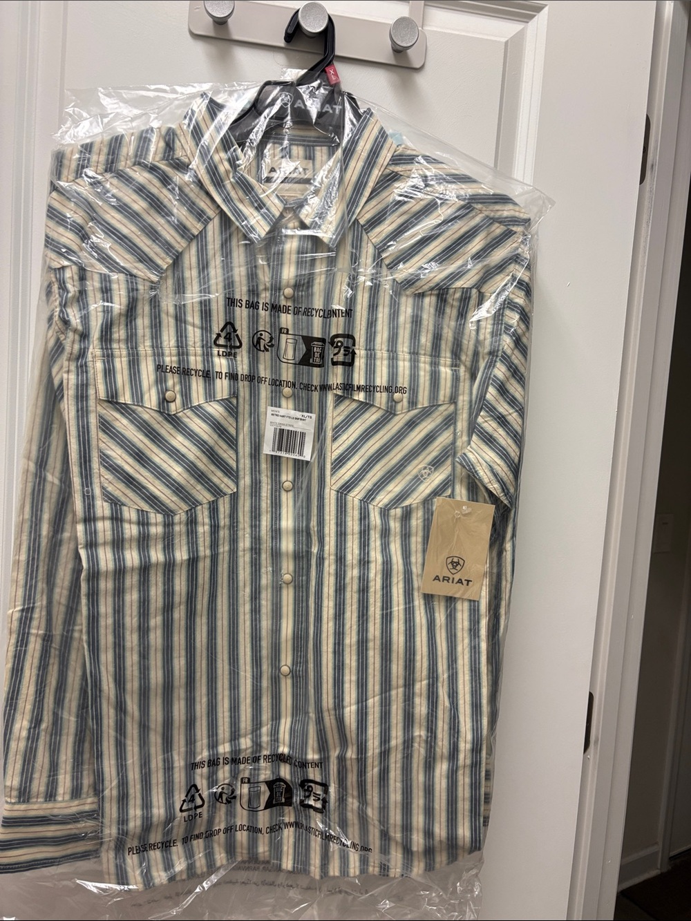 Ariat Striped Western Button-Down in Blue and Cream
